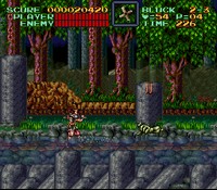 une photo d'Ã©cran de Super Castlevania 4 sur Nintendo Super Nes